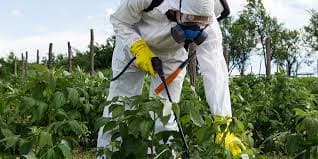 Paraquat Herbicide